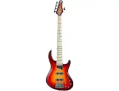 MTD Kingston Saratoga Deluxe 5 main image