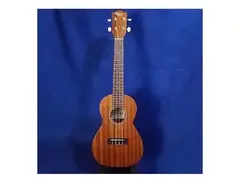 Ohana CK-10 Mahogany Concert Ukulele main image