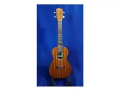 Ohana CK-10S Mahogany Concert Ukulele main image