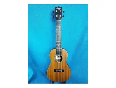 Ohana CK-25S Solid Mahogany Concert Ukulele
