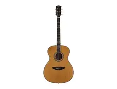 Orangewood Ava Live main image