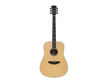 Orangewood Echo