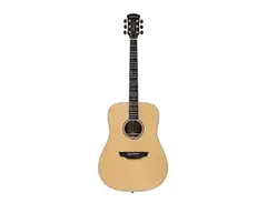 Orangewood Echo main image