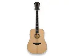 Orangewood Echo 12 Live main image