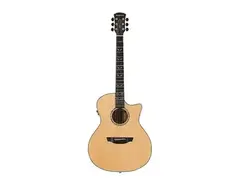 Orangewood Mason Live main image