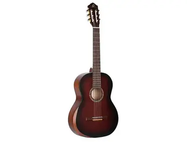Ortega Family Series Pro R55T