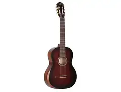 Ortega Family Series Pro R55T main image