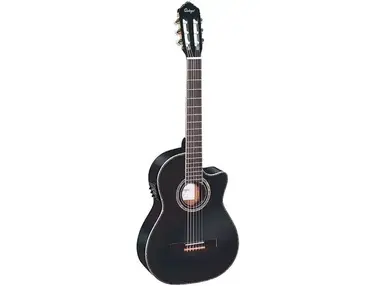 Ortega Family Series Pro RCE141