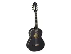 Ortega Family Series R221 3/4 Size main image