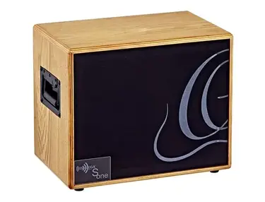 Ortega S-One 150-Watt 1x6.5" Acoustic Guitar Cabinet