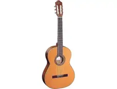 Ortega Traditional Series R220 main image