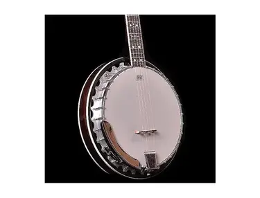 Oscar Schmidt OB5 5-String Electric Banjo