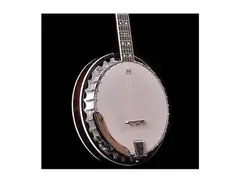 Oscar Schmidt OB5 5-String Electric Banjo main image
