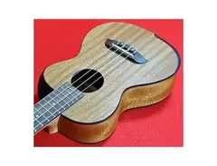 Oscar Schmidt OU200C-M Concert main image