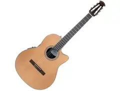Ovation CS24C Celebrity Standard Nylon main image
