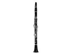 P. Mauriat PCL-721 Professional Bb Clarinet main image