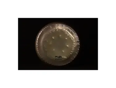 Paiste 10" Accent Gong