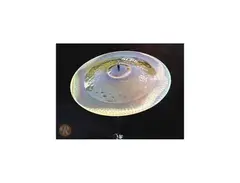 Paiste 18" RUDE Wild China Cymbal main image