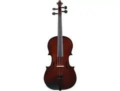 Palatino VA-450 Allegro 16" Viola Outfit main image