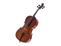 Palatino VC-450 Allegro Solid Ebony 4/4 Full-Size Cello w/ Gigbag, Bow main image