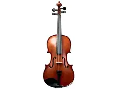 Palatino VN-650-3/4 Violin Outfit main image