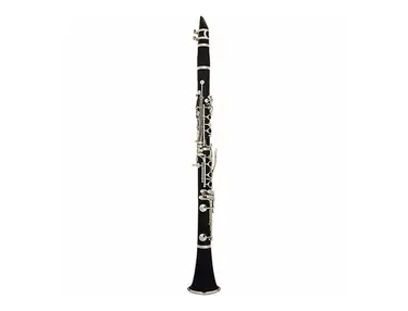 Palatino WI-801-C Student Bb Clarinet Outfit w/ Case