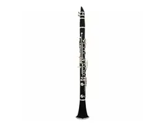 Palatino WI-801-C Student Bb Clarinet Outfit w/ Case main image