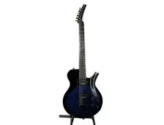 Parker Fly Mojo Flame Single Cutaway main image