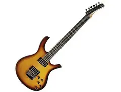 Parker Maxx Fly Radial PDF85 With Piezo Bridge main image
