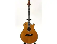 Parker P-9E main image