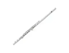 Pearl 665RBEVGR Quantz Vigore Professional Open Hole Flute with B-Foot, Split E, C# Trill and D# Roller