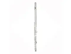 Pearl Flutes 795RB-2RB Elegante C Flute main image