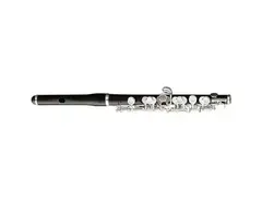 Pearl Flutes PFP-105E Piccolo