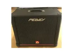 Peavey 112SX 75-Watt 1x12 Guitar Speaker Cabinet main image