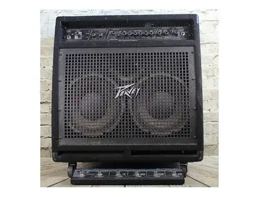 Peavey BAM 210 350-Watt 2x10 Modeling Bass Combo with Horn Tweeter