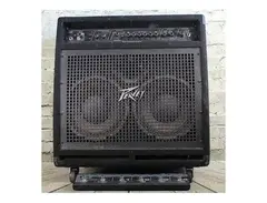 Peavey BAM 210 350-Watt 2x10 Modeling Bass Combo with Horn Tweeter main image