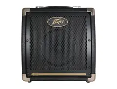 Peavey E20 Ecoustic 20W Acoustic Guitar Combo Amp main image