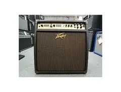 Peavey Ecoustic 112 EFX 100-Watt 1x12 Acoustic Guitar Combo main image