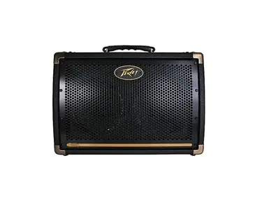 Peavey Ecoustic E208 30W 2x8 Acoustic Amp