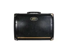 Peavey Ecoustic E208 30W 2x8 Acoustic Amp main image