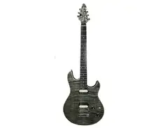 Peavey HP Special FT USA Stop-Bar main image