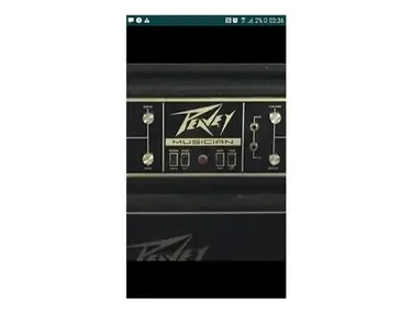 Peavey Musician Series 300 210-Watt Guitar / Bass Head