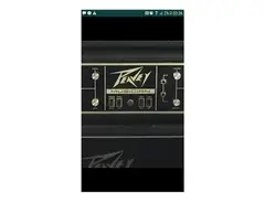 Peavey Musician Series 300 210-Watt Guitar / Bass Head main image