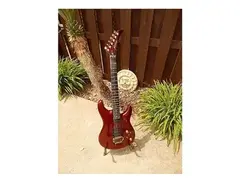 Peavey Nitro Limited main image