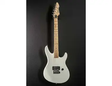 Peavey Patriot With Tremolo