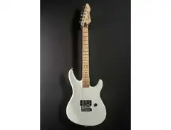 Peavey Patriot With Tremolo main image