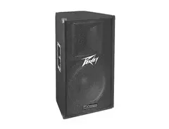 Peavey PV115D 400W Speaker Cabinet main image