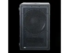 Peavey PVs12 1000-Watt Active PA Subwoofer main image