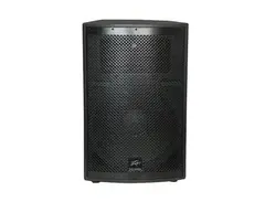 Peavey SP2 Series 500w Passive 1x15" Speaker main image