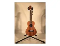 Peavey Student Ukulele main image
